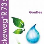 Dr Reckeweg R73 Spondartrin 50ml gocce