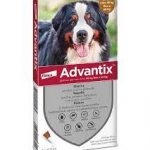 Advantix 40-60kg spot-on 4x6.0ml