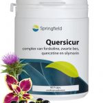 Quersicur 90 capsule