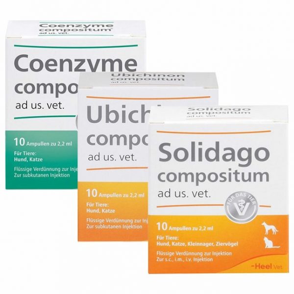 Solidago compositum ad us. veterinario Fiale + Ubichinone compositum ad us. veterinario fiale+ Coenzyme compositum ad us. veterinario fiale