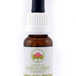 Essenza di fiori australiani Dog Rose of the Wild Forces confezione 15 ml