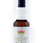 Essenza di fiori australiani Dog Rose confezione 15 ml