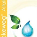 Dr Reckeweg R95 Alfalfa Comp. 50ml gocce