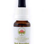 Essenza di fiori australiani Red Grevillea confezione 15 ml