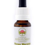 Essenza di fiori australiani Waratah confezione 15 ml