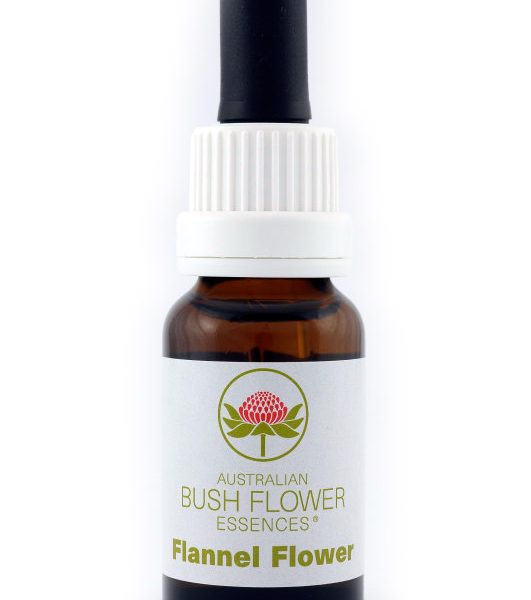 Essenza di fiori australiani Flannel Flower confezione 15 ml