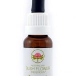 Essenza di fiori australiani Isopogon confezione 15 ml