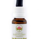 Essenza di fiori australiani Little Flannel Flower confezione 15 ml