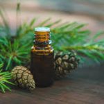 Taoasis Latschenkiefer Bio (pino mugo) 5ml olio