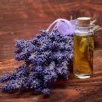 Taoasis Schlaf Gut Intensiv  5ml olio