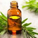 Taoasis Teebaum Albero del te' 10ml olio