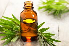 Taoasis Teebaum Albero del te' 10ml olio