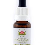 Essenza di fiori australiani Alpine Mint Bush confezione 15 ml