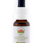 Essenza di fiori australiani Boronia confezione 15 ml