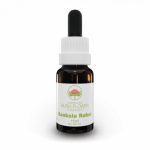 Essenza di fiori australiani Banksia Robur confezione 15 ml