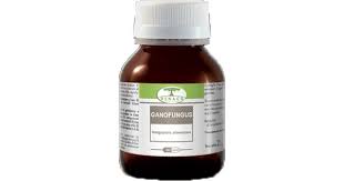 GANOFUNGUS 60 capsule