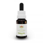 Essenza di fiori australiani Hibbertia confezione 15 ml
