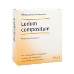 LEDUM COMPOSITUM 10 fiale 2,2 ml
