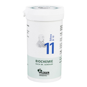 Nr. 11 Silicea D 12 Pulver - 250 GR