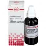 SYZYGIUM JAMBOLANUM tintura madre D 1